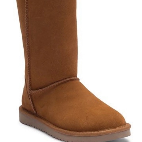 UGG Shoes - New In Box Ugg Boots